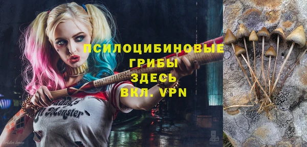 a pvp Арсеньев